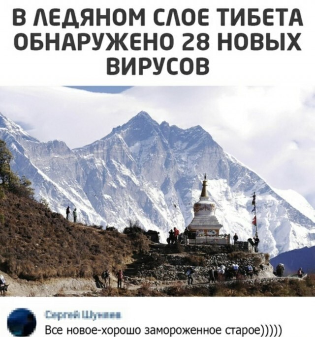 Скрины из социальных сетей (29 фото)