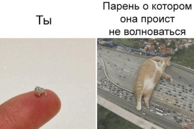 Мемы и приколы про "это" (15 фото)