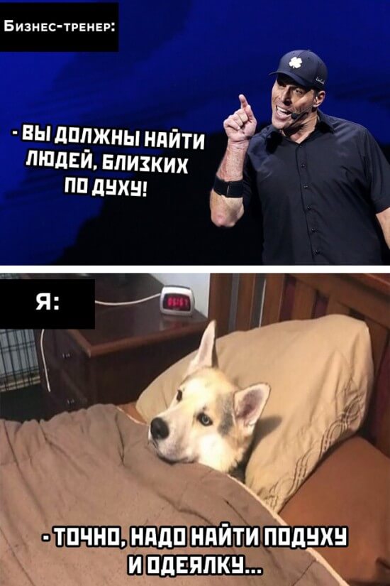 Подборка прикольных фото №2466 (31 фото)