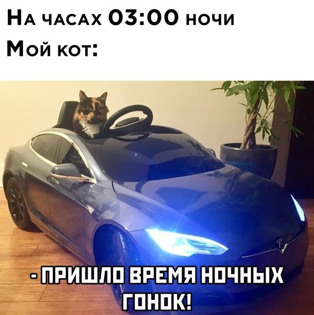 Подборка прикольных фото №2469 (30 фото)