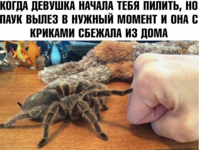 Приколы про современных девушек (12 фото)
