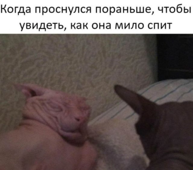 Приколы про современных девушек (15 фото)