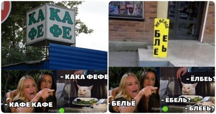 Смешные мемы с котом, который всё опровергает (21 фото)