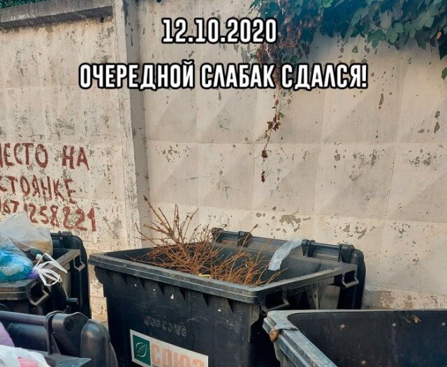 Подборка прикольных фото №2495 (30 фото)