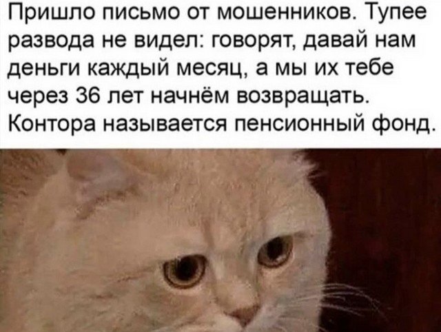 Лучшие мемы и картинки из Сети (10 фото)