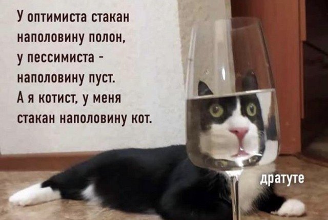 Лучшие мемы из сети (15 фото)