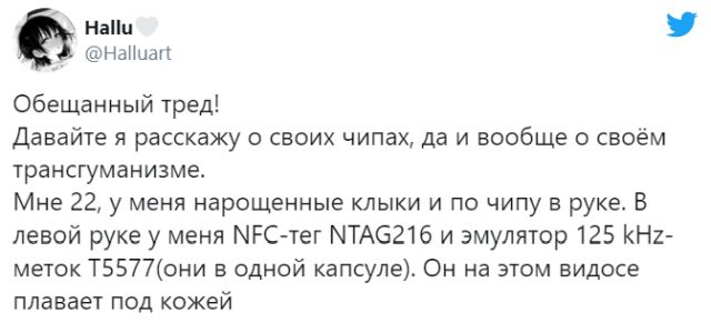 Девушка-трансгуманист Hallu из Санкт-Петербурга (3 фото)