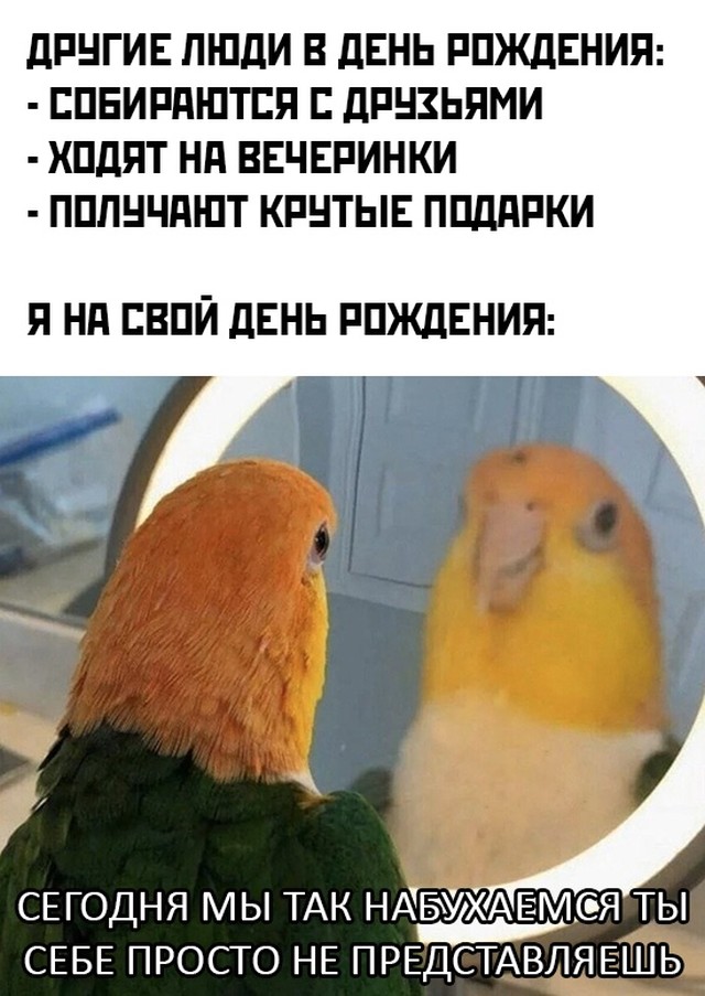 Подборка прикольных фото №2502 (30 фото)