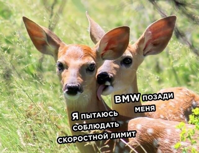Подборка прикольных фото №2511 (30 фото)