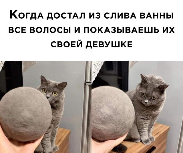 Подборка прикольных фото №2514 (30 фото)