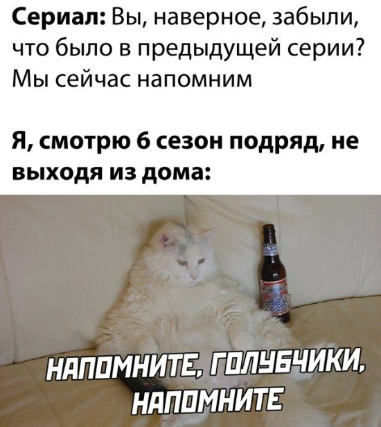 Подборка прикольных фото №2513 (30 фото)
