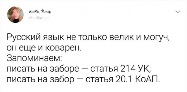 Подборка забавных твитов о русском языке (13 фото)