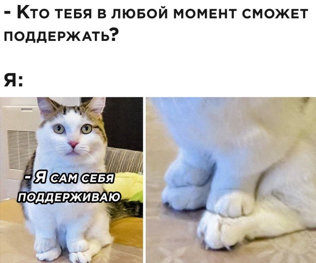 Подборка прикольных фото №2517 (25 фото)