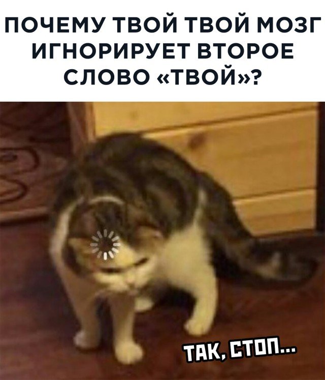 Подборка прикольных фото №2519 (34 фото)