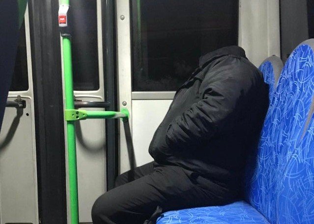 Фотографии из серии "удачный момент" (13 фото)