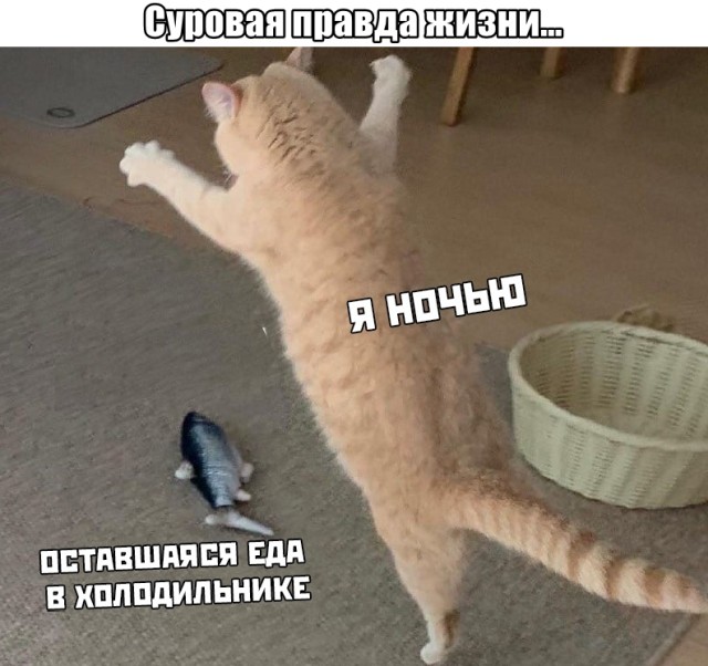Подборка прикольных фото №2525 (25 фото)
