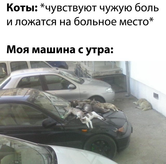 Подборка прикольных фото №2530 (20 фото)