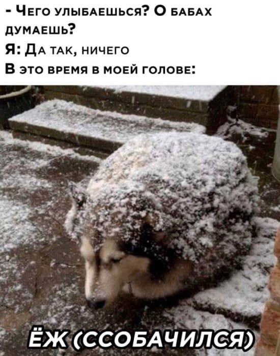 Подборка прикольных фото №2533 (25 фото)