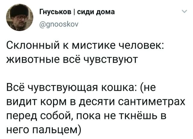 Подборка забавных твитов обо всем (12 фото)