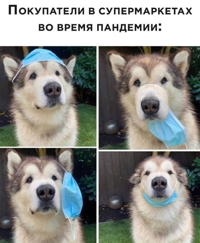 Подборка прикольных фото №2539 (20 фото)