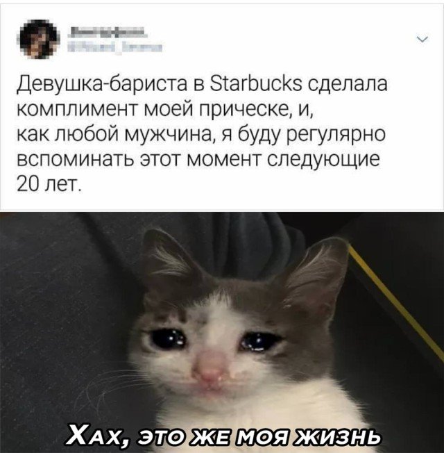 Подборка прикольных фото №2543 (19 фото)