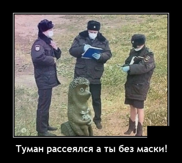 Демотиваторы №2500 (20 фото)