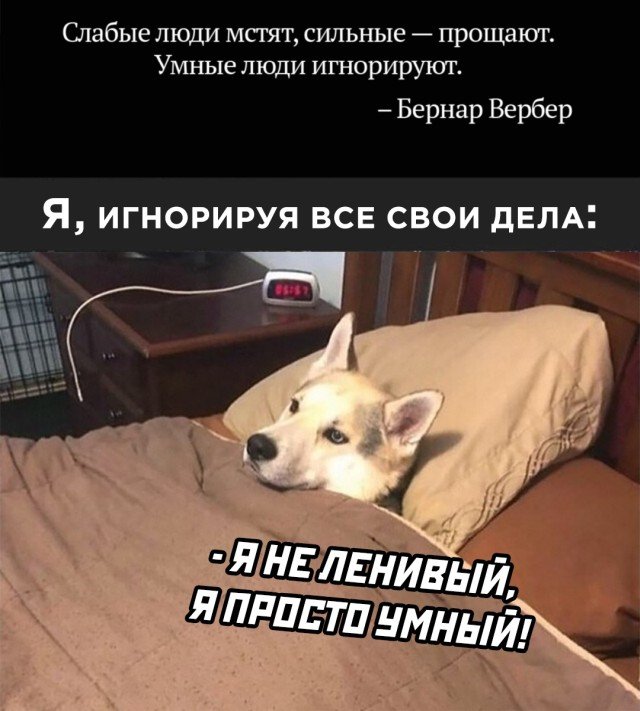 Подборка прикольных фото №2545 (30 фото)