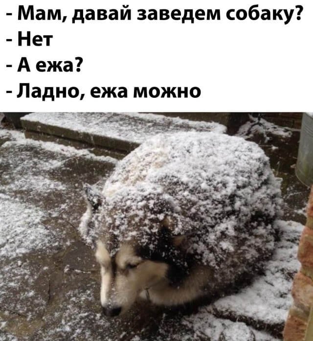 Подборка прикольных фото №2549 (30 фото)
