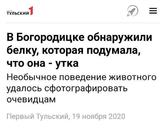 "Завлекающие" заголовки из российских СМИ (13 фото)