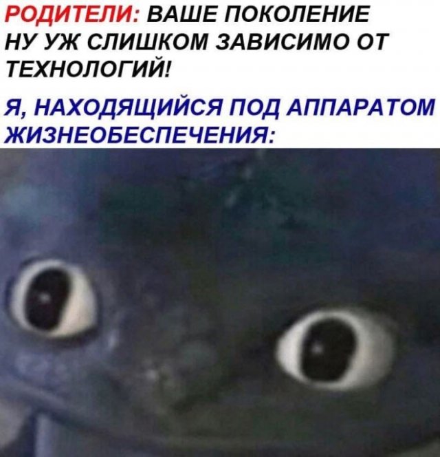 Странный и черный юмор (15 фото)