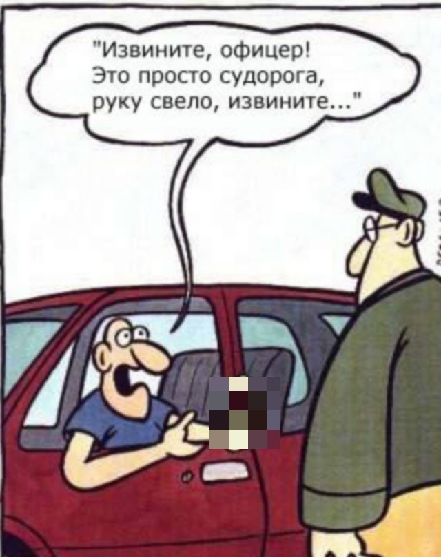 Картинки, шутки и мемы из архивов (13 фото)
