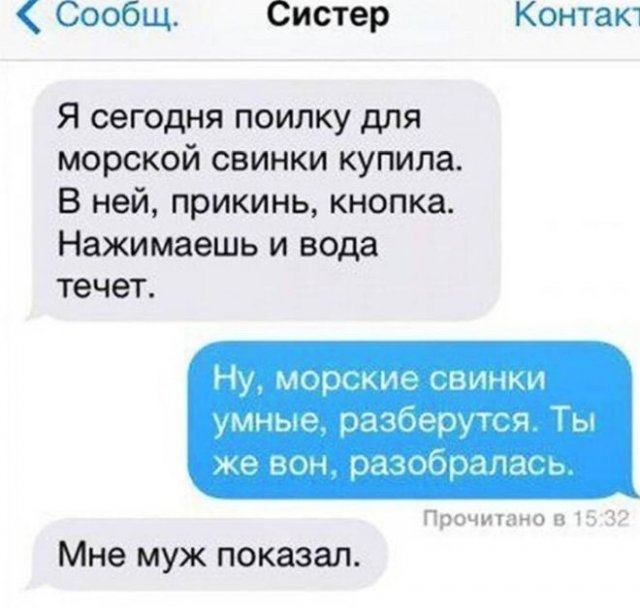 Смешные переписки (15 фото)
