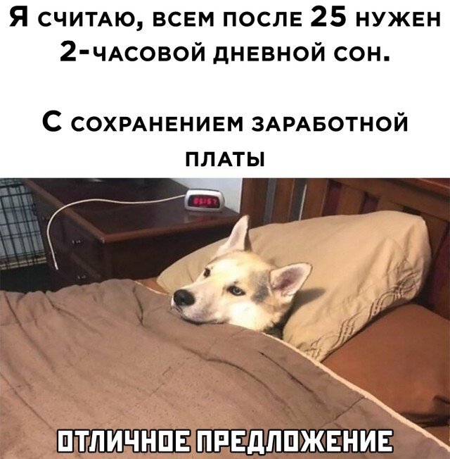 Подборка прикольных фото №2565 (30 фото)