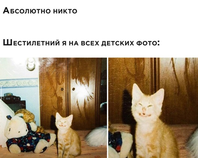 Подборка прикольных фото №2567 (20 фото)