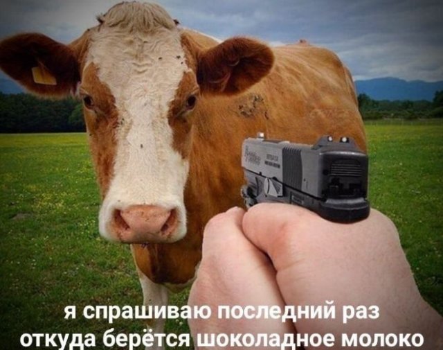 Странный и жесткий юмор (11 фото)