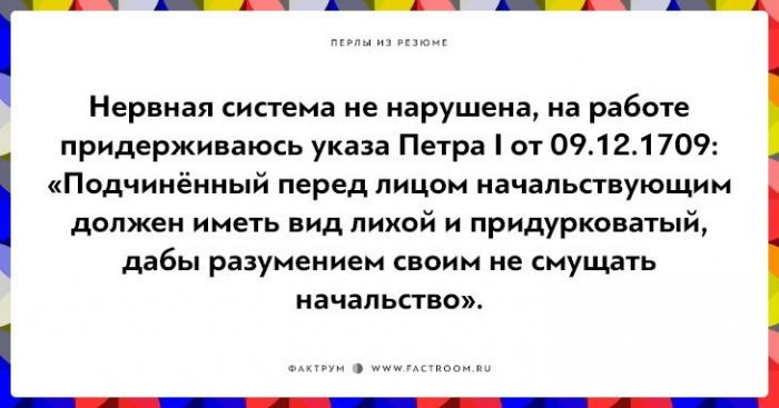 Незабываемые перлы из резюме оригинальных людей (22 фото)