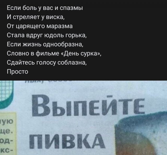 Рифмы из социальных сетей (14 фото)