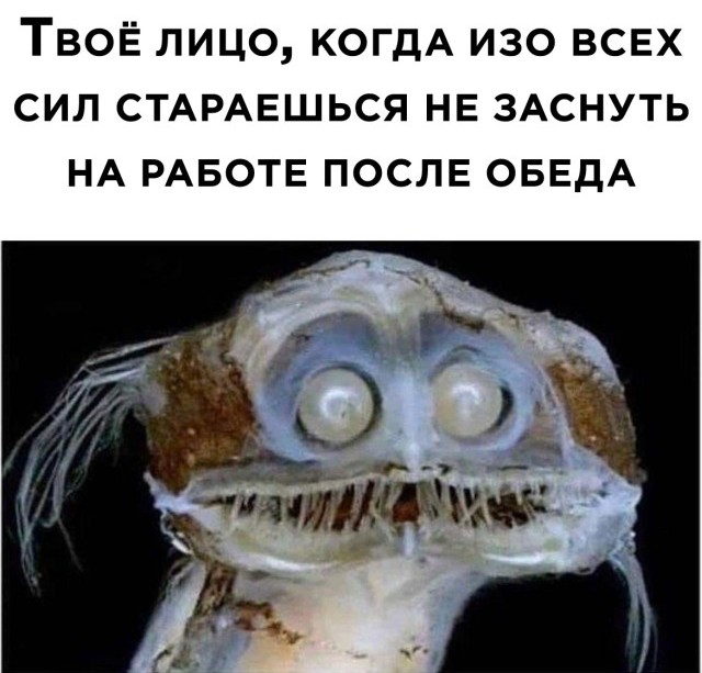 Подборка прикольных фото №2573 (24 фото)