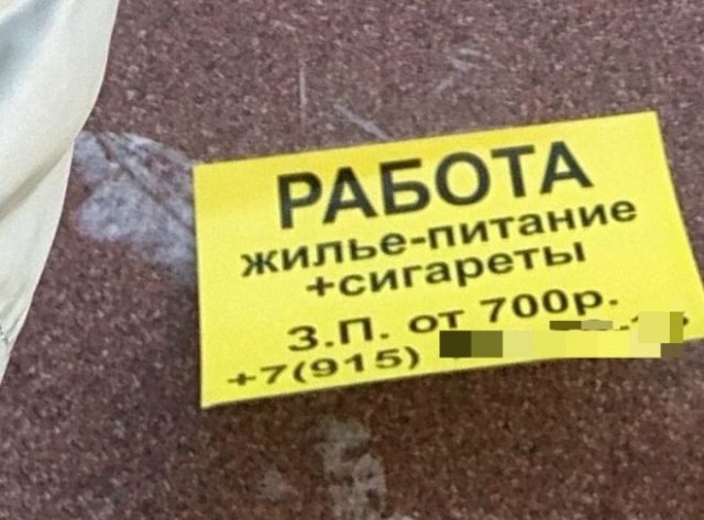 Странная работа и необычные способы заработка (13 фото)