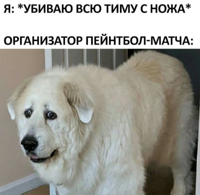 Жесткий и черный юмор (10 фото)