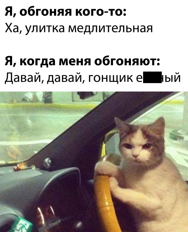 Подборка прикольных фото №2577 (29 фото)