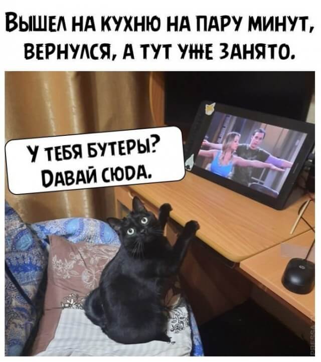 Подборка прикольных фото №2582 (20 фото)