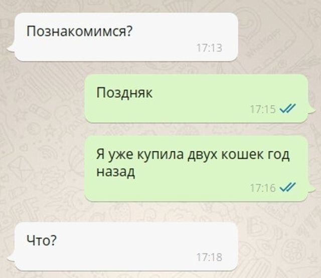 Удачное, но очень странное знакомство в Сети (5 фото)
