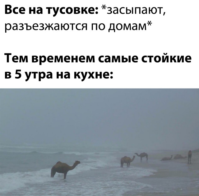 Подборка прикольных фото №2583 (25 фото)