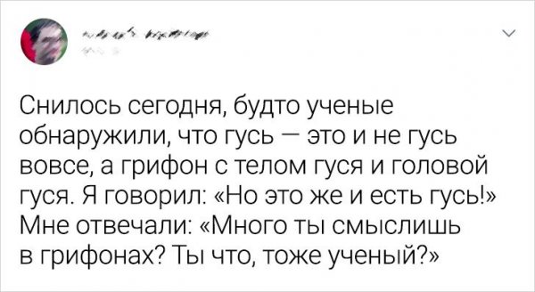 Подборка забавных твитов о безумных сновидениях (17 фото)