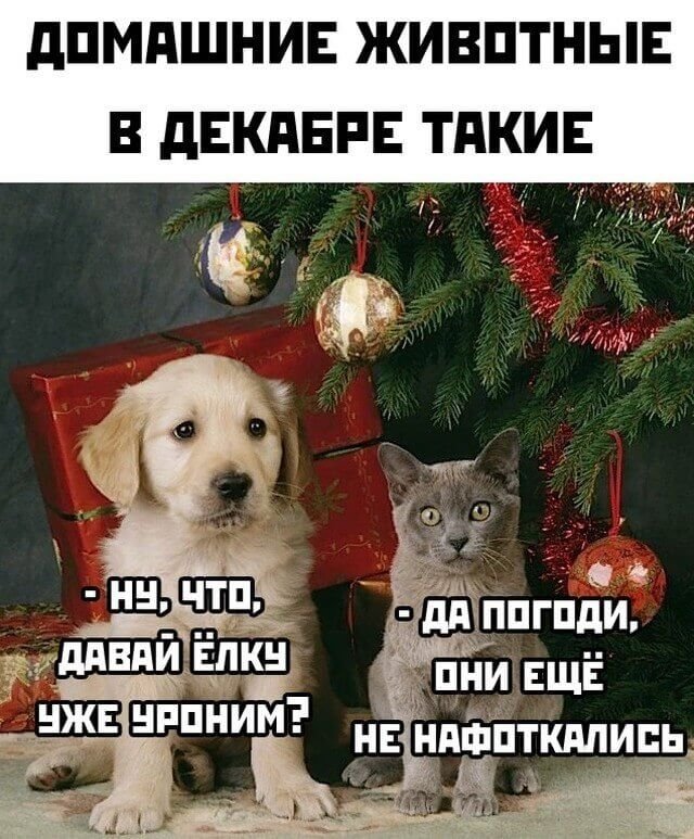 Подборка прикольных фото №2588 (20 фото)