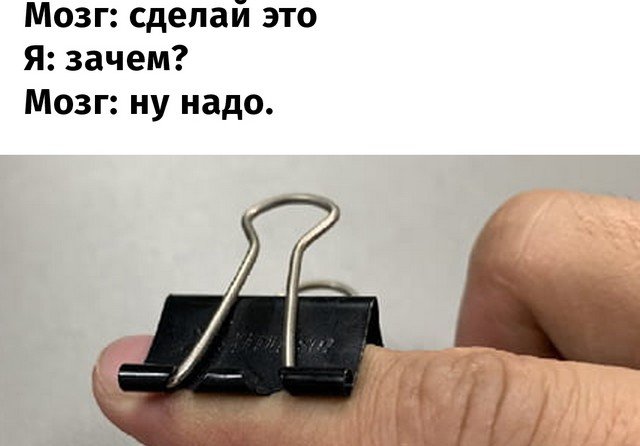 Бессмысленные и интересные занятия нам подсказывает мозг (15 фото)