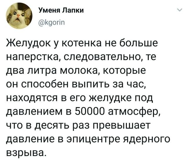 Подборка забавных твитов обо всем (15 фото)