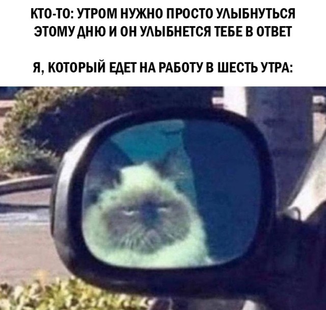 Подборка прикольных фото №2642 (30 фото)