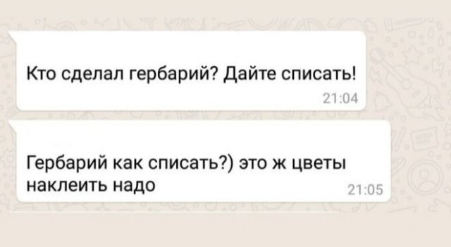Ужас, который творится в родительских чатах (10 фото)
